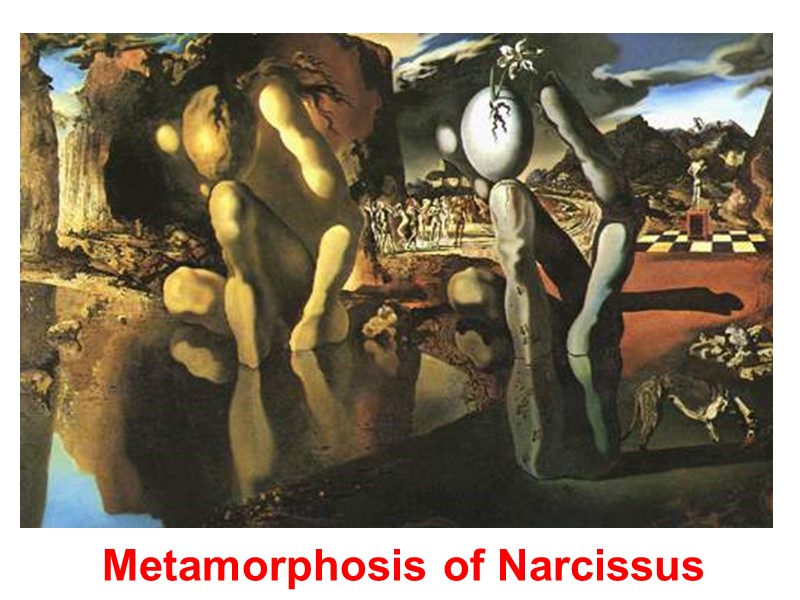 Metamorphosis of Narcissus